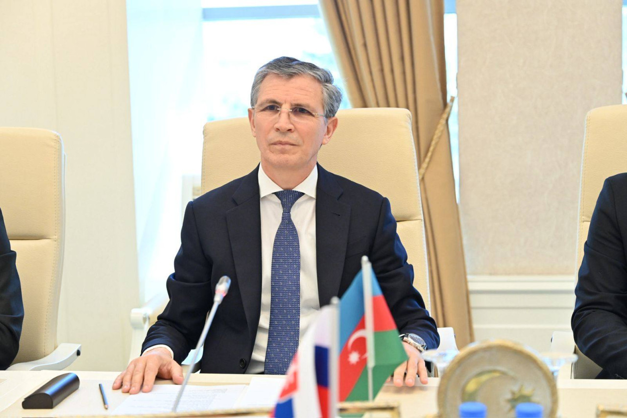 Milli Məclisinin İnsan hüquqları komitəsində slovakiyalı Ombudsmanla görüş keçirilib - FOTOLAR