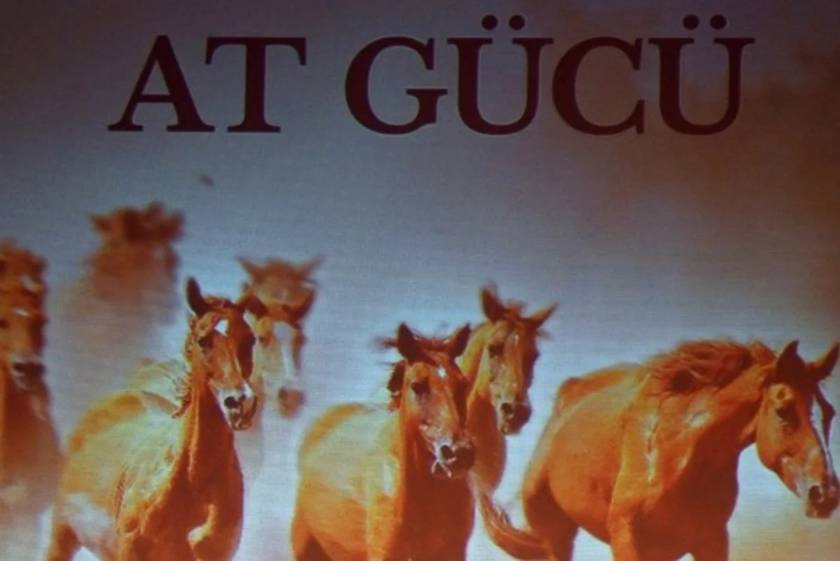 \"At gücü\" sənədli filminin təqdimatı keçirilib