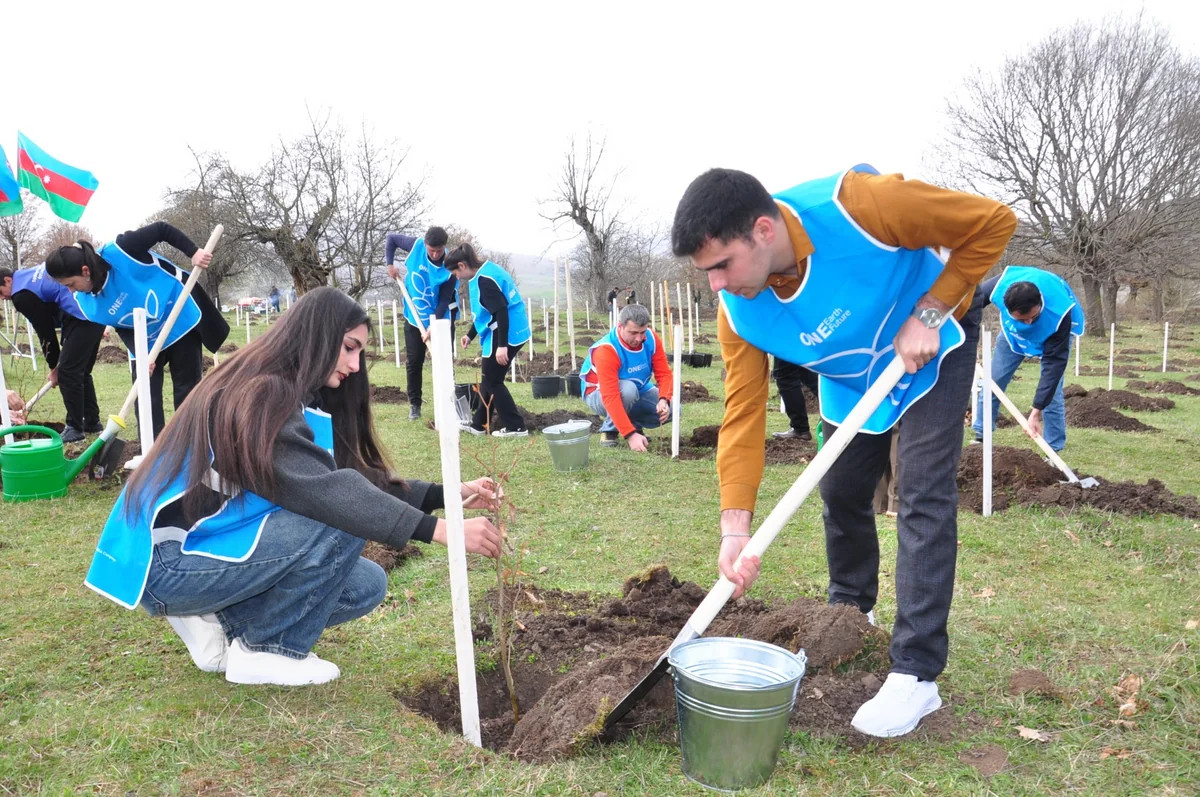 \"Yaşıl marafon\": İDEYA daha bir bölgədə kütləvi ağacəkmə kampaniyası təşkil edib
