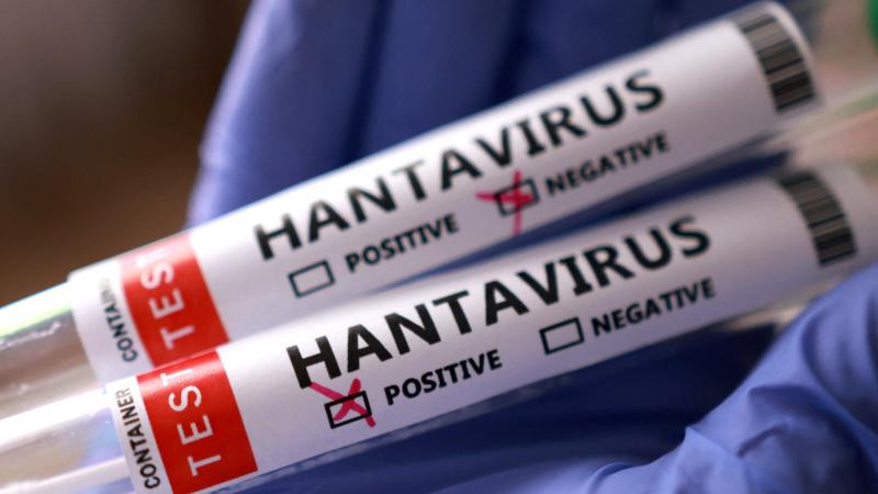 İsraildə hantavirus aşkarlanıb  