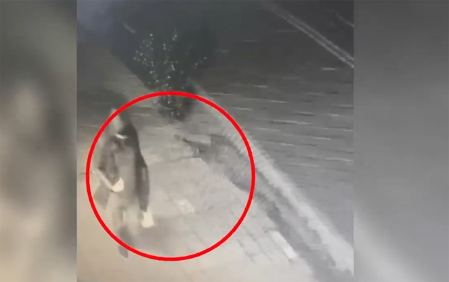 Evdən 70 min manatlıq qızıl oğurlayan şəxs saxlanıldı - VİDEO