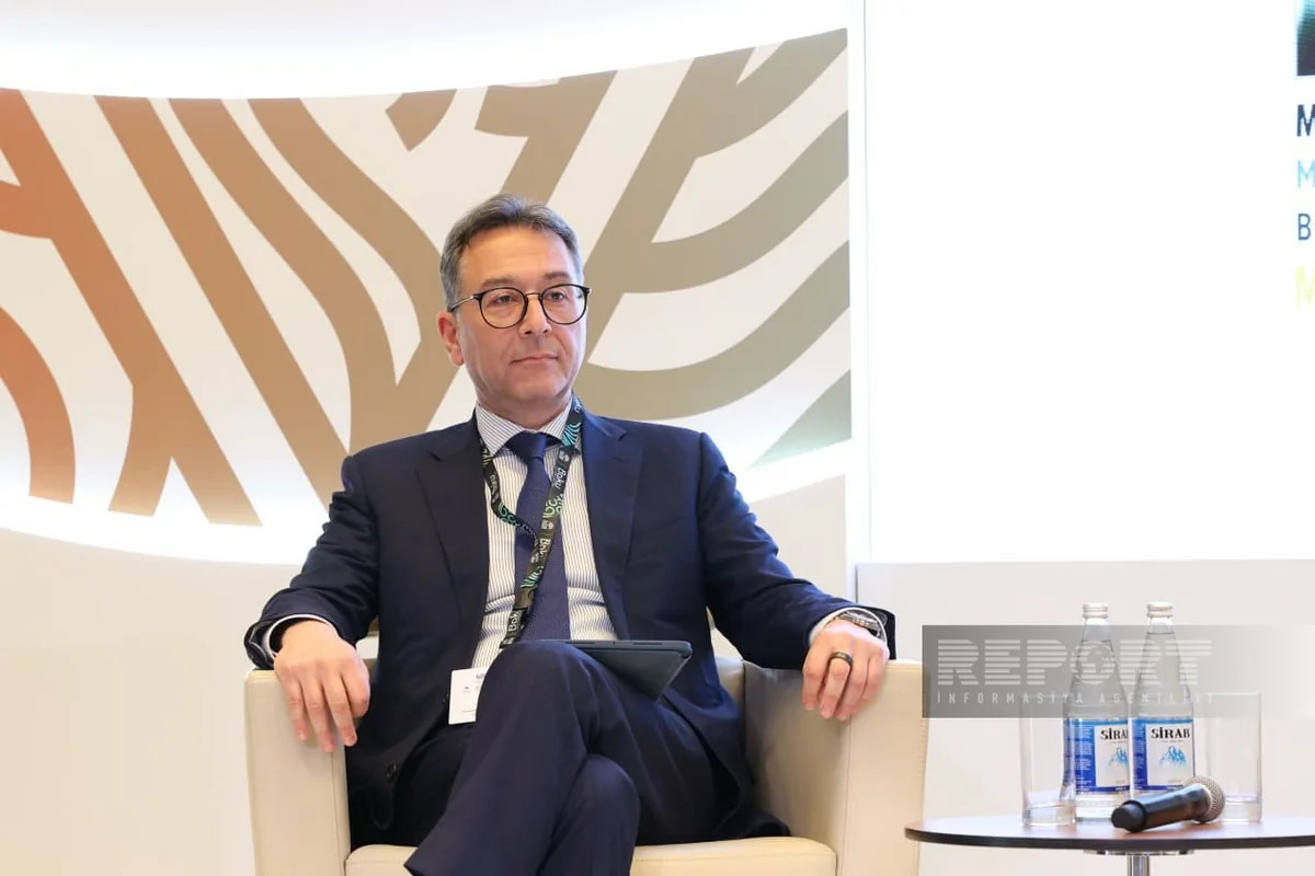 SOCAR-ın vitse-prezidenti:&nbsp; \"Bərpa olunan enerji mənbələrinin ölkənin enerji balansındakı payı...\"