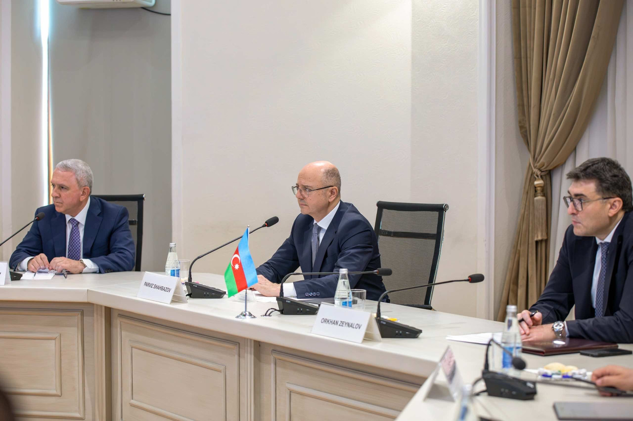 Pərviz Şahbazov İordaniya rəsmisi ilə müzakirə aparıb