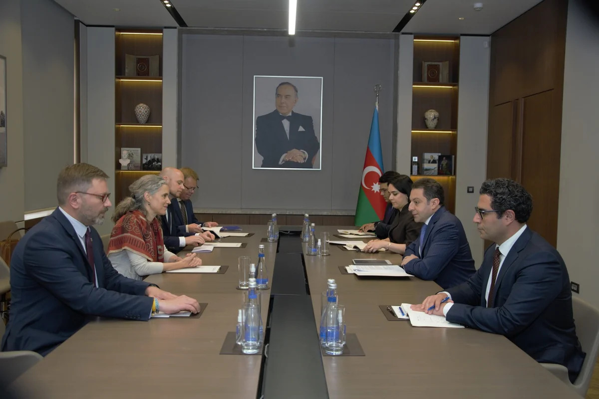 Elnur Məmmədov Avropa İttifaqının rəsmisi ilə görüşüb - AÇIQLAMA