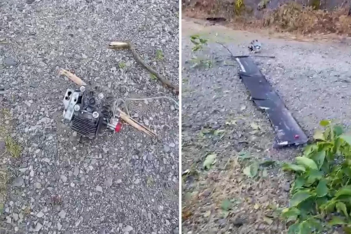 Ukrayna dronu Trabzonda ağaca çırpıldı – FOTO&nbsp;&nbsp;