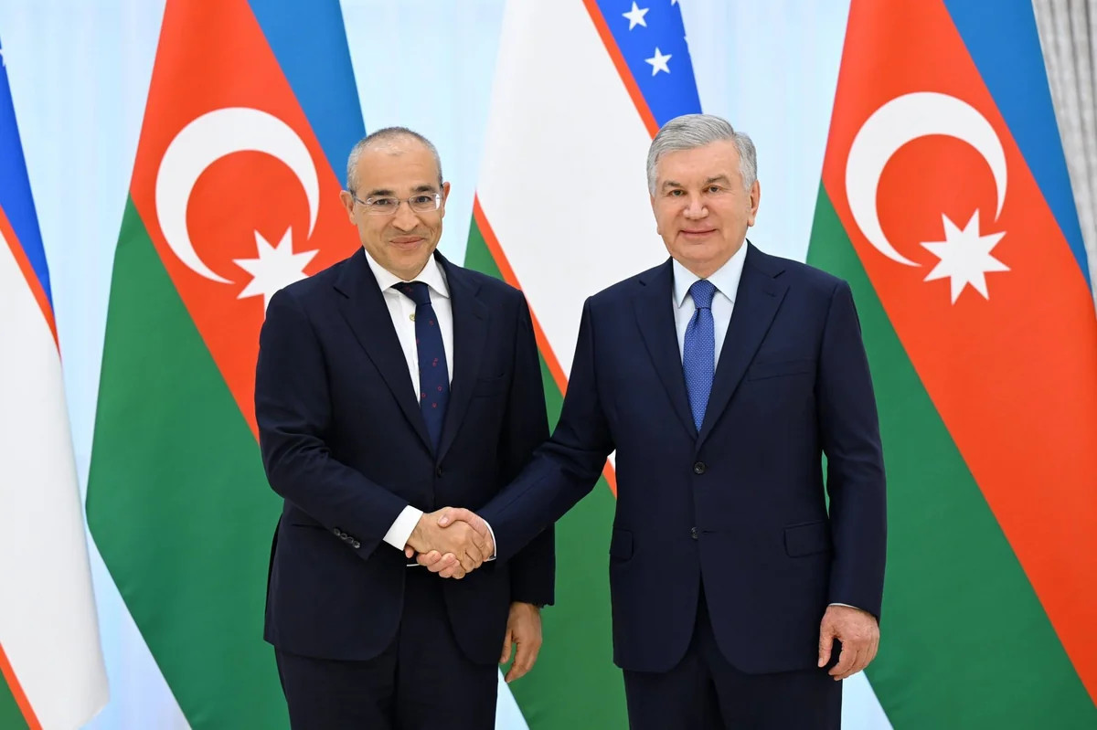 Mikayıl Cabbarov Özbəkistanda - Şavkat Mirziyoyevlə fikir mübadiləsi aparılıb