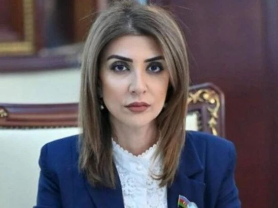 AAK DEPUTATIN ELMİ İŞİNİ  İKİ İLDİR TƏSDİQLƏMİR - Xanım millət vəkilinin DİPLOMU NİYƏ VERİLMİR?