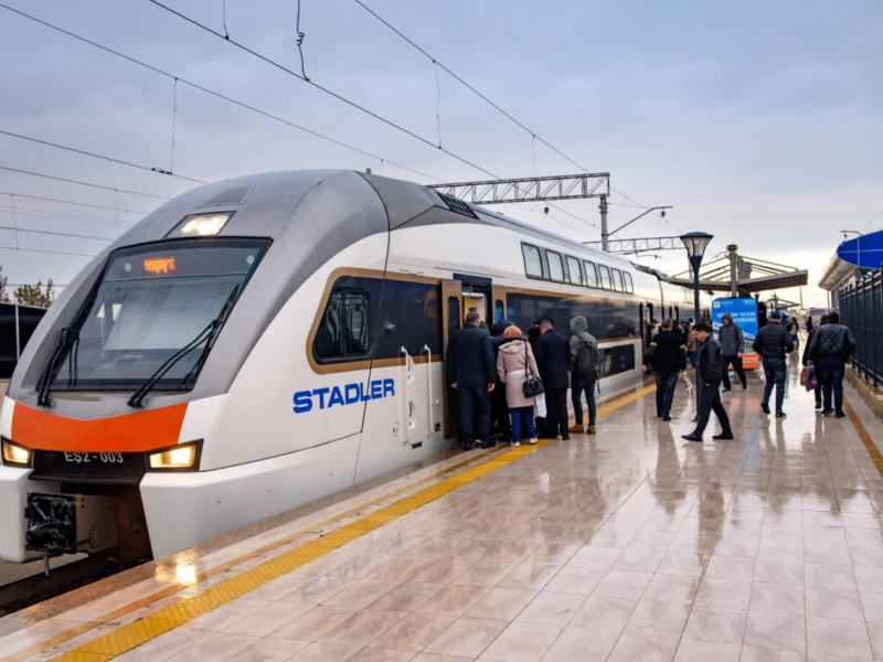 SİSTEM XƏTASI, yoxsa RÜŞVƏT ÜÇÜN \"AYAQ YERİ\"? - Ekspert rastlaşdığı faktları yazdı