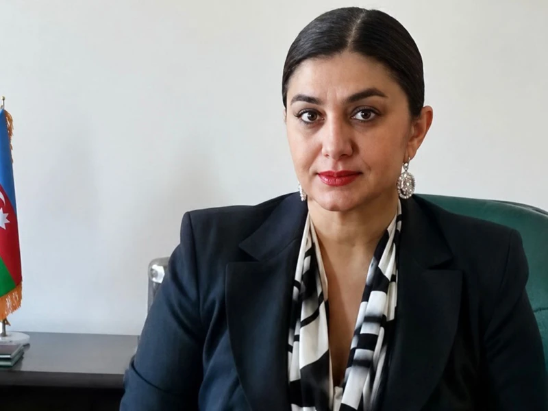&nbsp;Baş nazirin sabiq müavini komendatla dalaşıb - O, xuliqanlıq maddəsiylə saxlanılıb və...