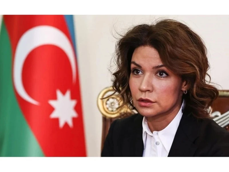 Baş konsul səfir təyin edildi - SƏRƏNCAM