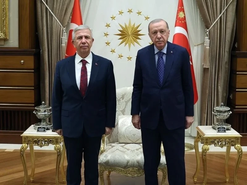 ƏRDOĞAN ELƏ SİYASİ GEDİŞ ELƏDİ Kİ... - Müxalifətin vahid namizədliyinə adı hallanan Yavaşla qapalı görüşdən ilk açıqlamalar (FOTO)